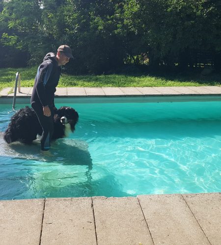 Cane entra in piscina con addestratore